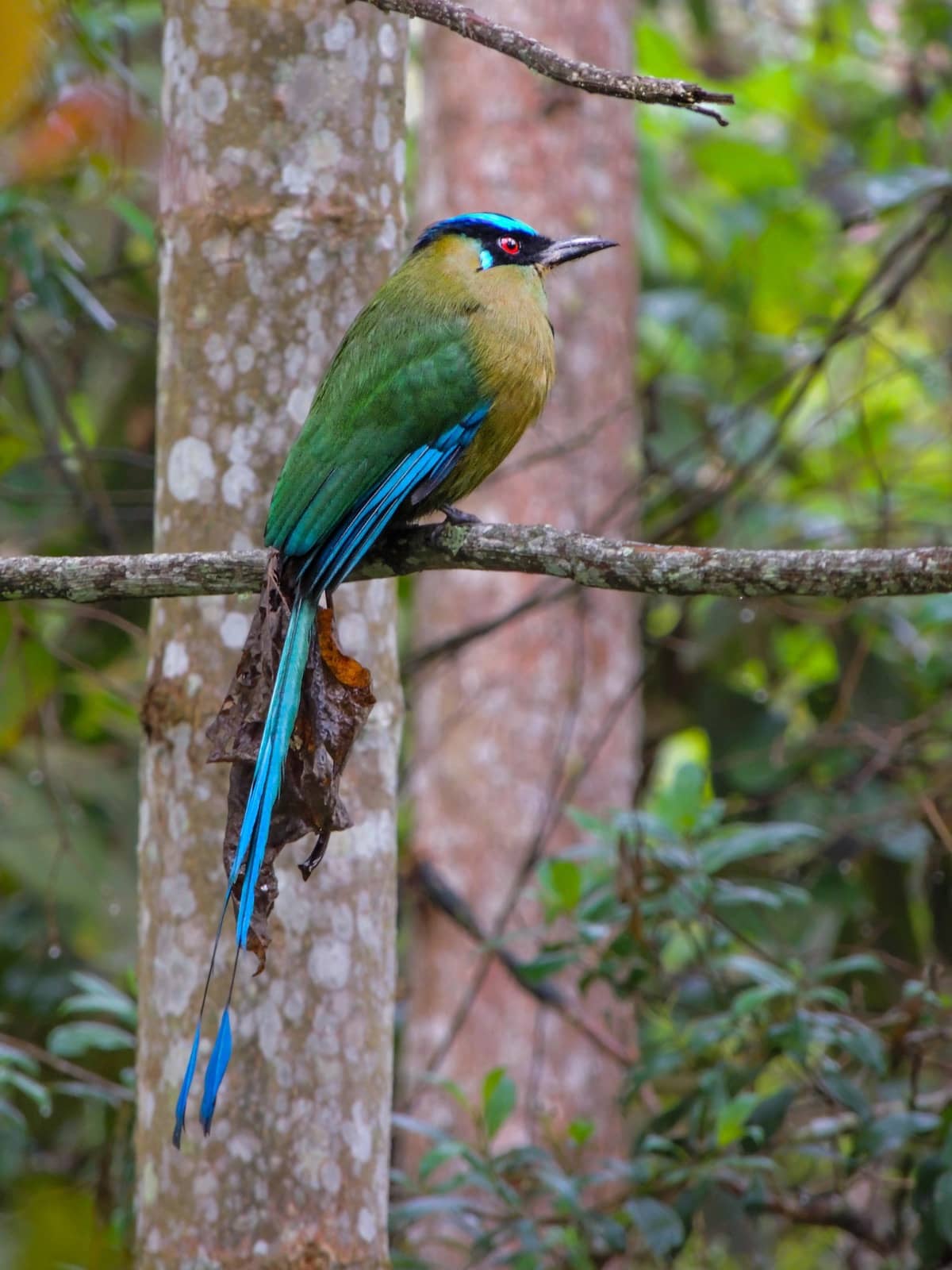 The Garden of the Senses — photo 7