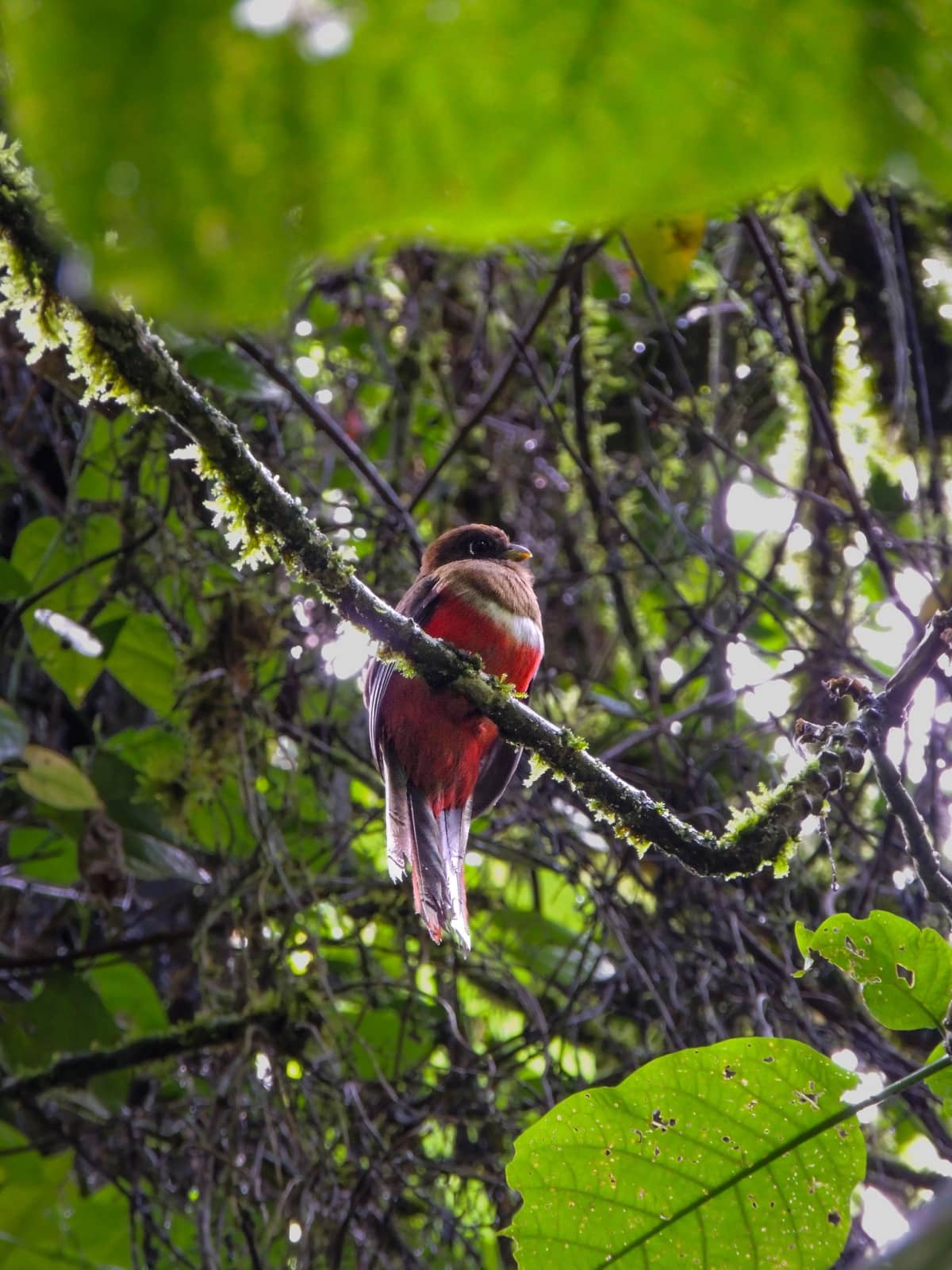 The Garden of the Senses — photo