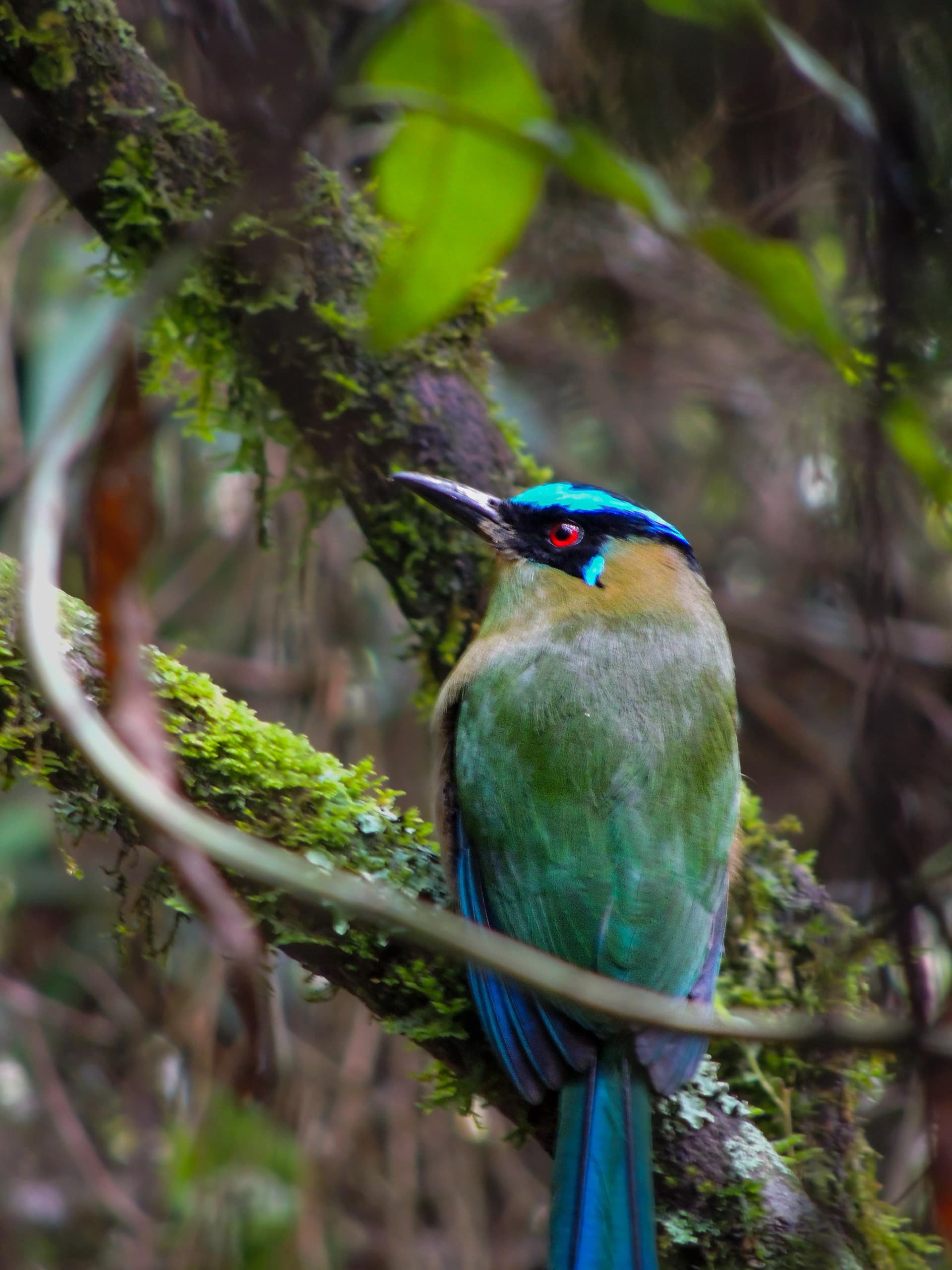 The Garden of the Senses