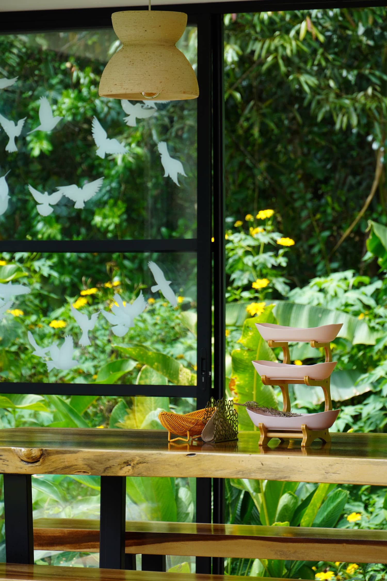 Isla de Pascua Hostel, Jardín